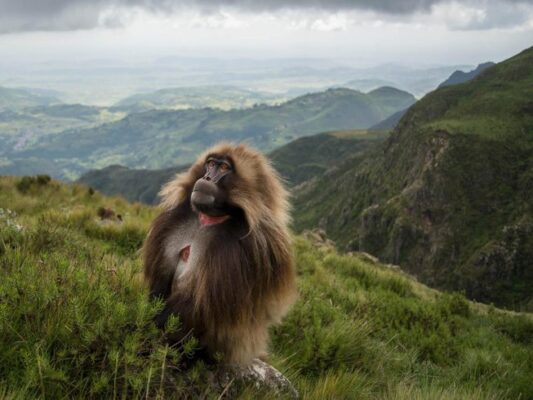 Hiking tour in Ethiopia