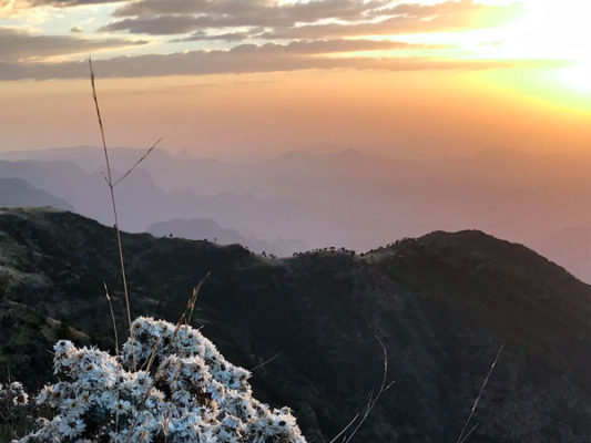 Hiking tour in Ethiopia