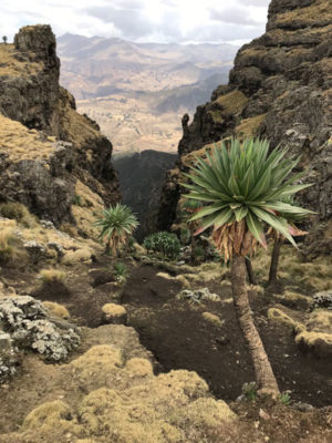 Hiking tour in Ethiopia