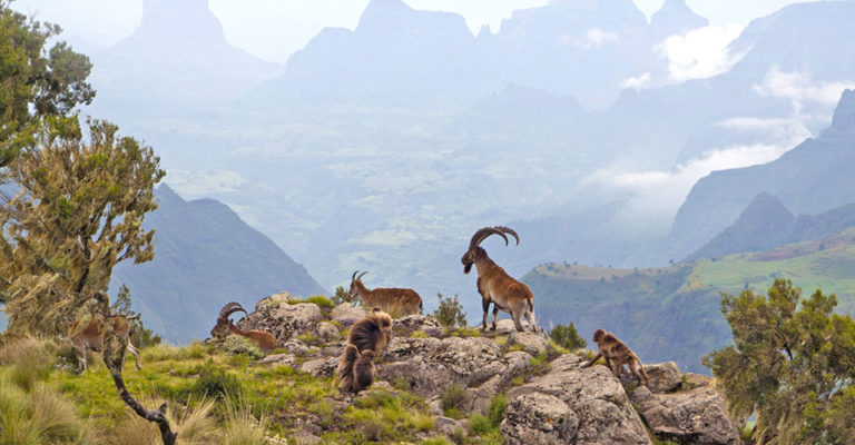 Hiking tour in Ethiopia